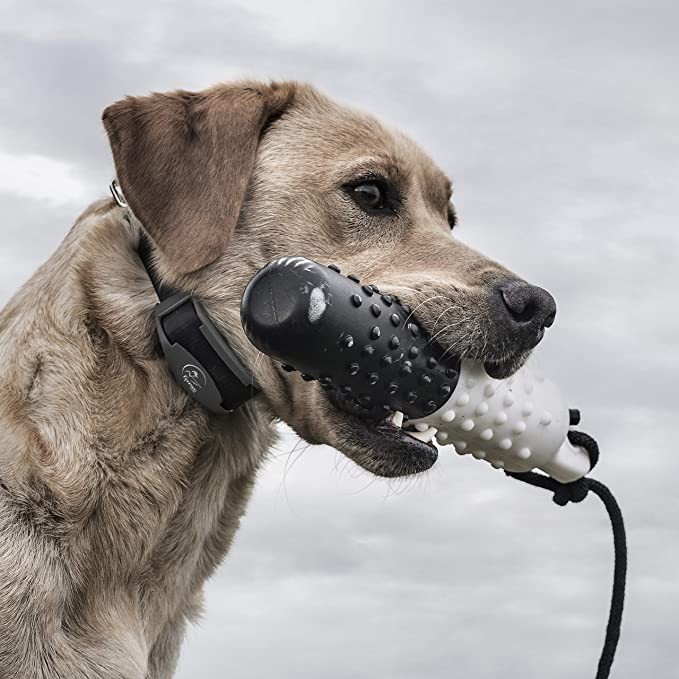 SPORTDOG SDR-AE PLUSZ ELEKTROMOS NYAKÖRV 1200-1600M