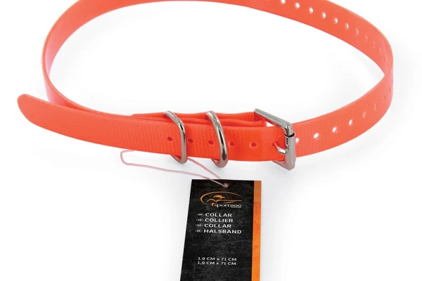 SportDOG Collar /Orange/