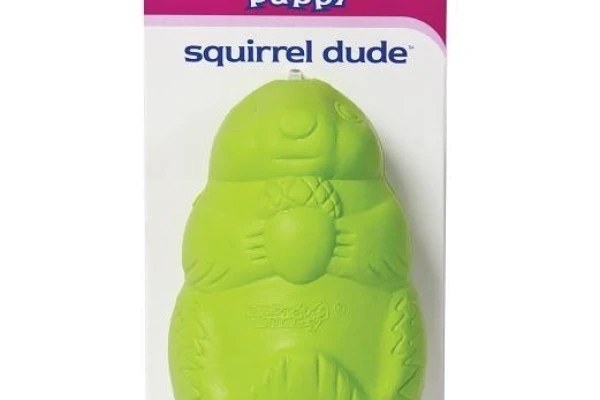 PETSAFE Busy Buddy Squirrel Dude (M)