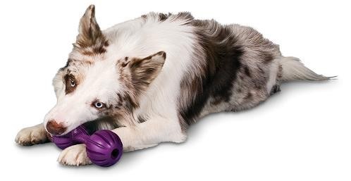 PETSAFE Busy Buddy Waggle™ (M/L) - Treat dispensing toy