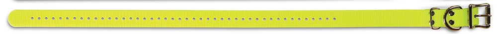 SportDOG Collar /Yellow/ 25mm