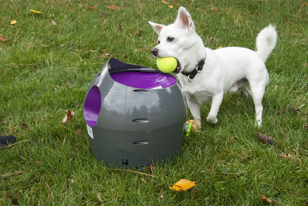 PetSafe automata Labdakilövő kutyáknak - Labdadobó kutyáknak normál méretű teniszlabdával