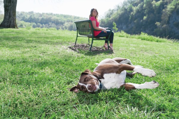 PetSafe 300 MÉTERES  Standard Elektromos Kiképző Nyakörv