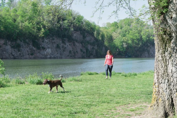 PetSafe 900 MÉTERES  Standard Elektromos Kiképző Nyakörv