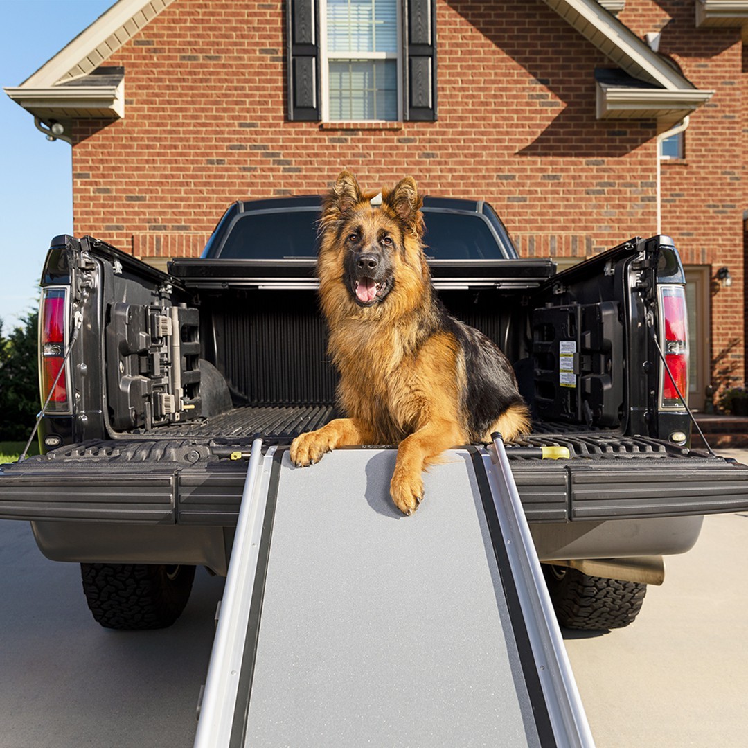 Happy Ride™ Extra-long Telescoping Dog Ramp (Extra Large size)