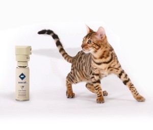 PETSAFE Ssscat® Spray Deterrent PPD19-16170