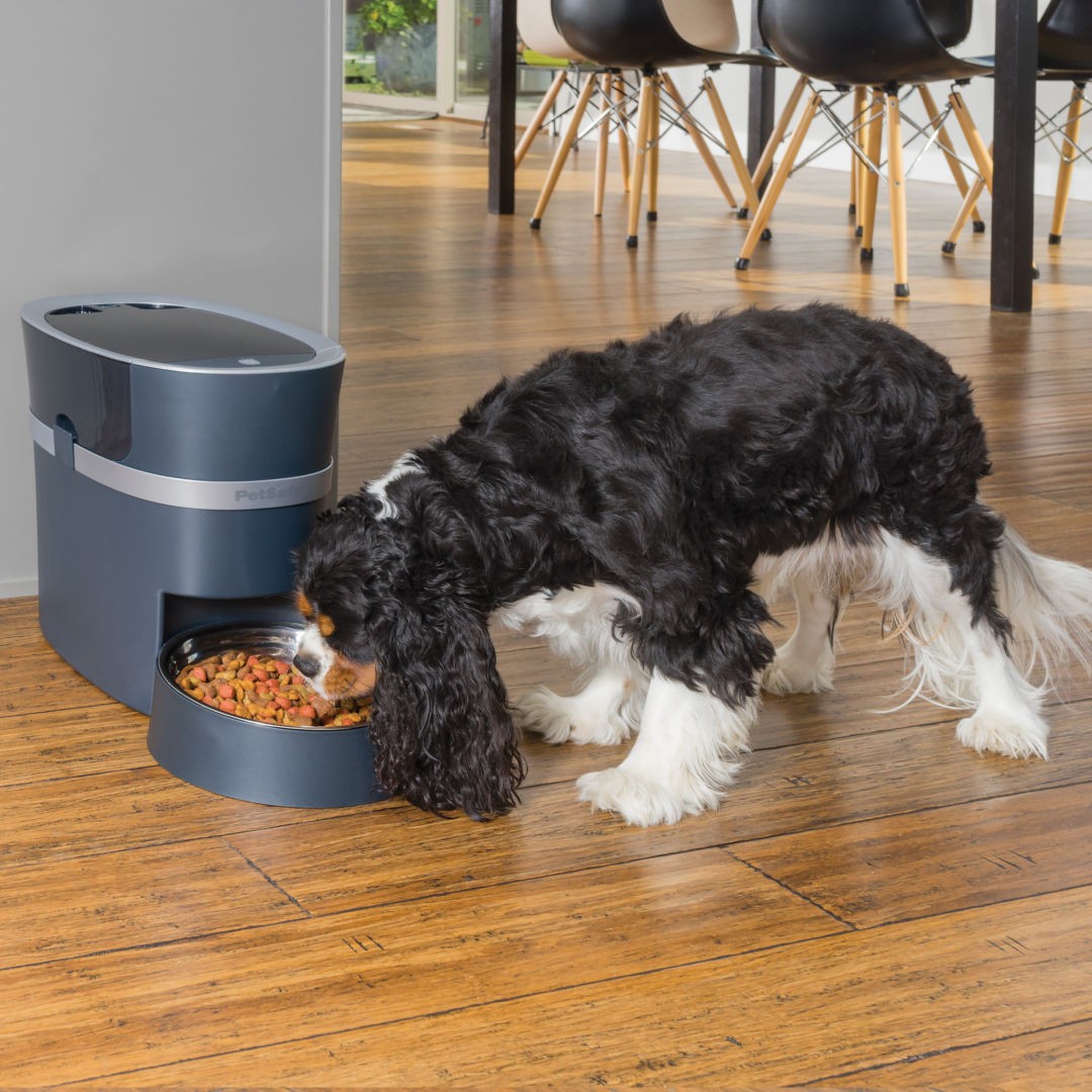 PetSafe Smart Feed Automata okosetető