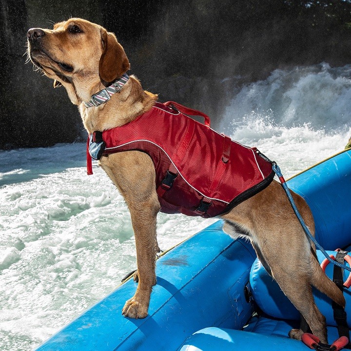 Kurgo Surf N Turf S Dog Life Jacket S