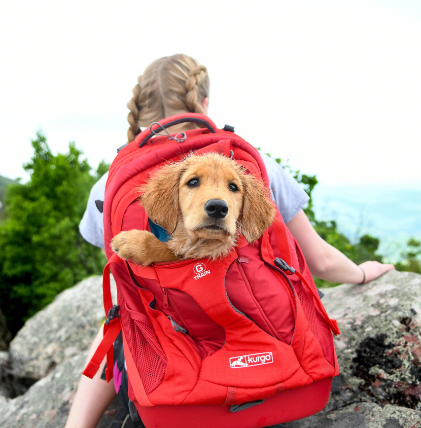 Kurgo G-Train Dog Carrier Backpack- red