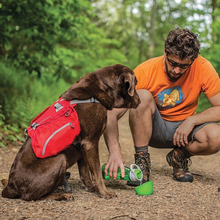 KURGO Baxter Backpack - BARN RED - for dogs 30-85 pounds