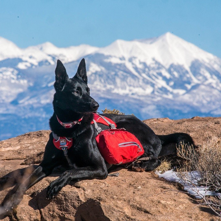 KURGO BIG Baxter Backpack - BARN RED - for dogs 50-110 pounds