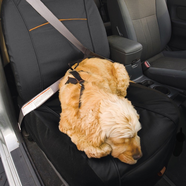 Kurgo Co-Pilot Bucket Seat Cover védő üléshuzat kutyáknak, első ülésre - FEKETE