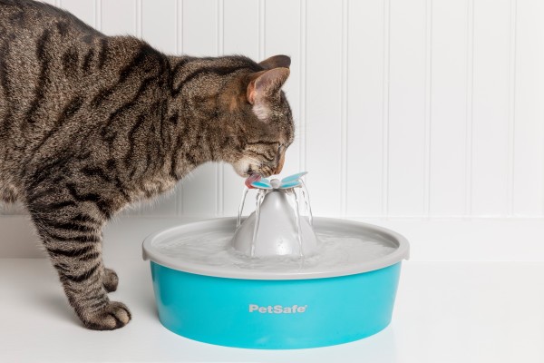 Drinkwell® Butterfly Pet Fountain