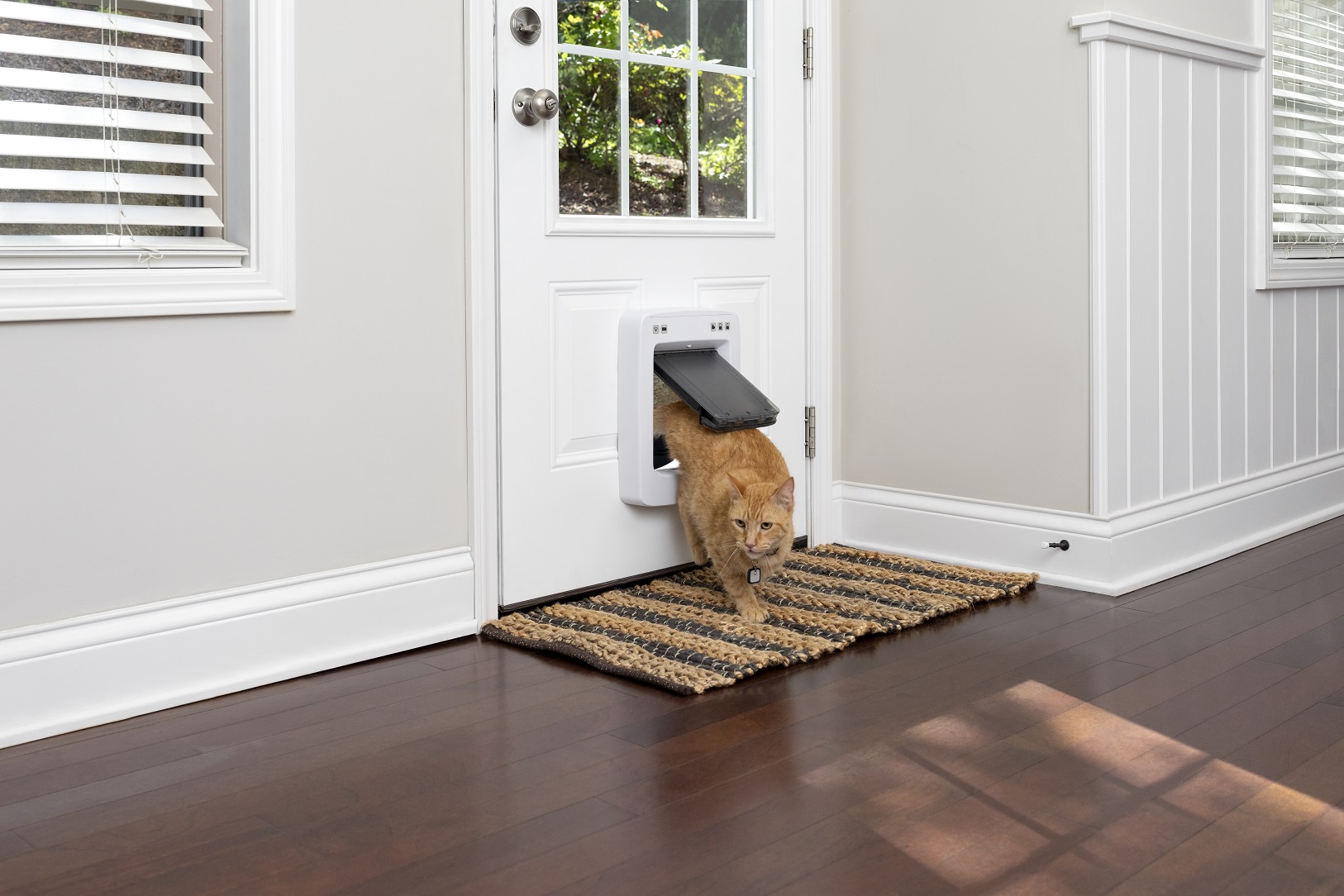 PetSafe SmartDoor Connected Pet Door - Medium size