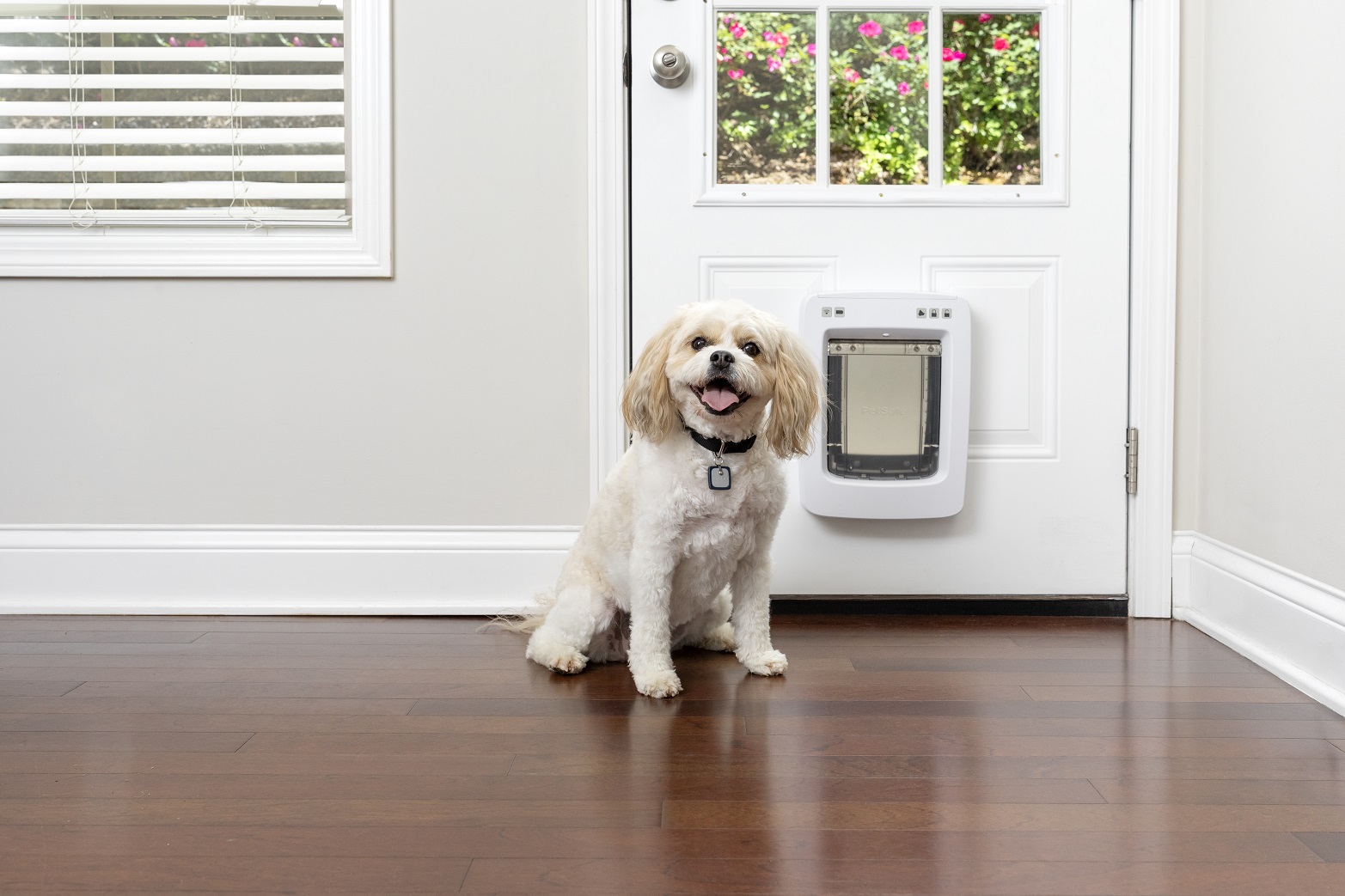 PetSafe SmartDoor Connected Pet Door - Medium size