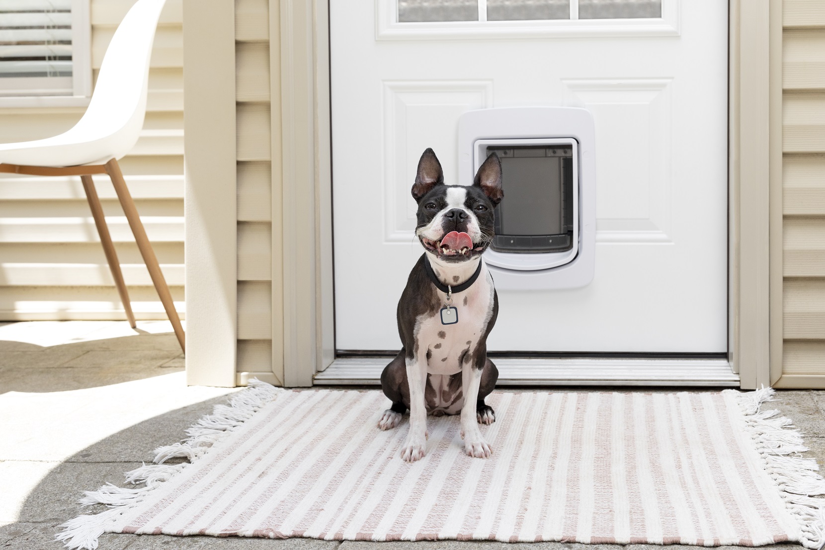 PetSafe SmartDoor Connected Pet Door - Medium size