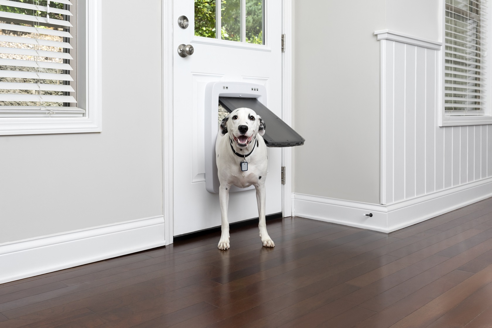 PetSafe SmartDoor Connected Pet Door - Large size