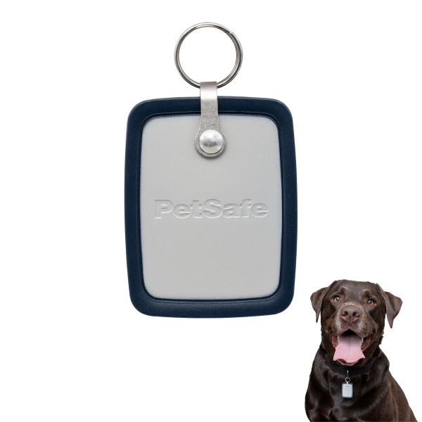 PetSafe Pet Door Key, Large