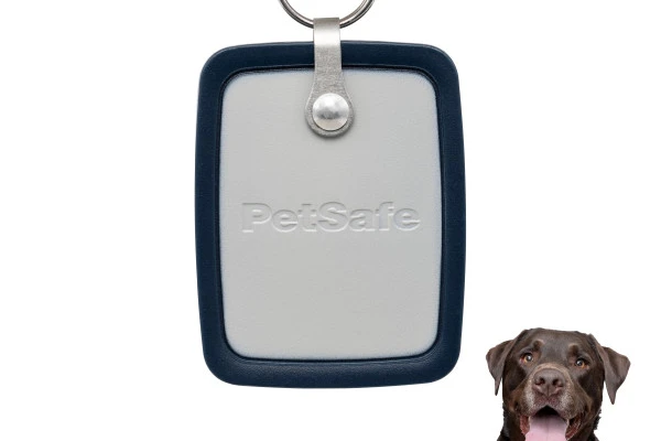 PetSafe Pet Door Key, Large