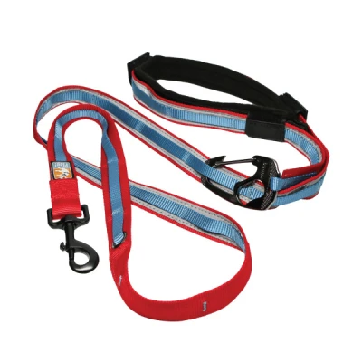 Kurgo Quantum Leash, Barn Red/Coastal Blue