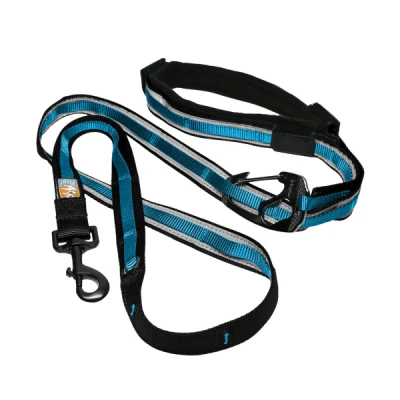 Kurgo Quantum Leash, Coastal Blue