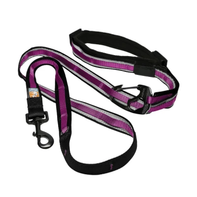 Kurgo Quantum Leash, Raspberry