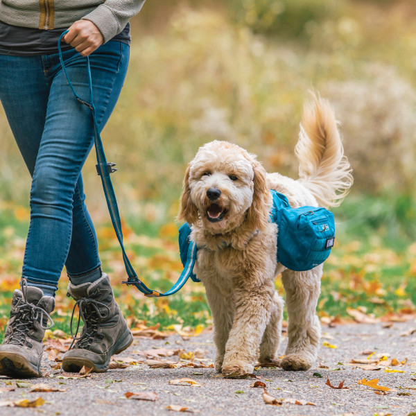 Kurgo RSG Stub Leash