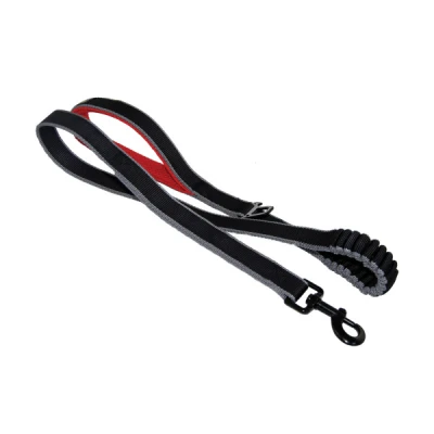 Kurgo Springback Leash