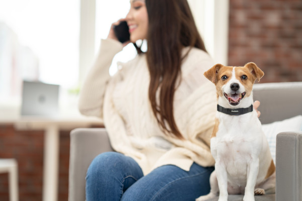  PetSafe NanoBark Ugatásgátló Nyakörv. Teljes súly 30 gramm nyakörvvel együtt