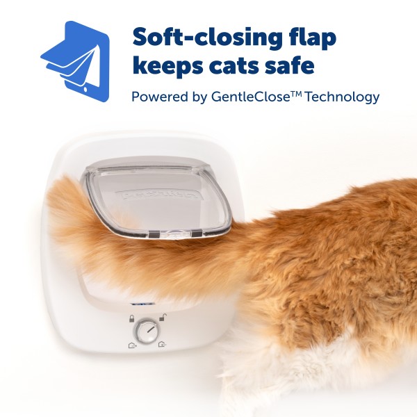 PetSafe Big Cat Flap